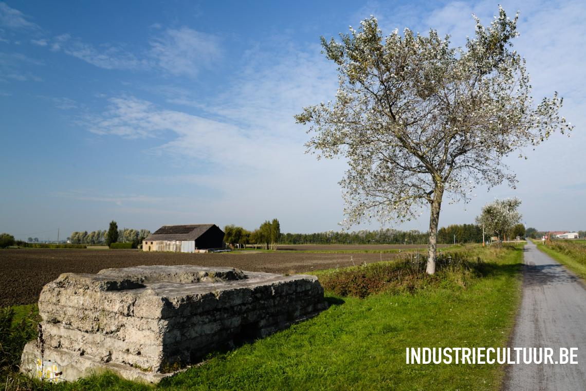Archeologiedagen