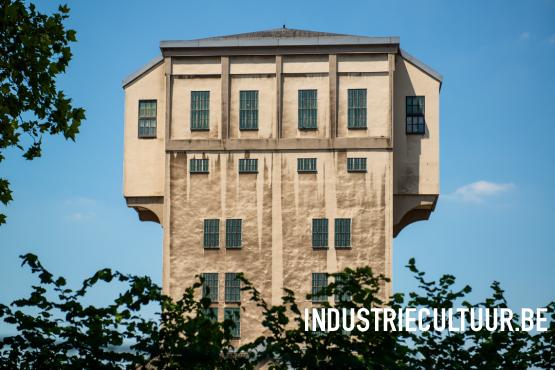 Hamerkoptoren